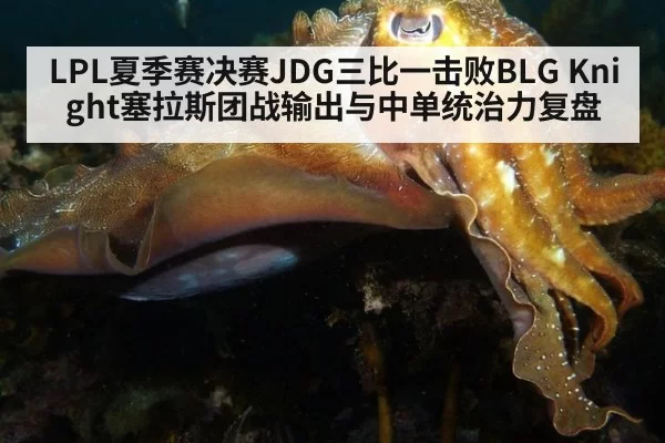 LPL夏季赛决赛JDG三比一击败BLG Knight塞拉斯团战输出与中单统治力复盘