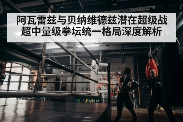 boxer training
