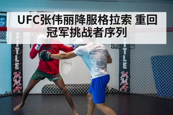 UFC fight