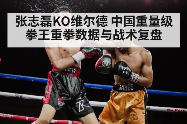 Zhang Zhilei boxing knockout